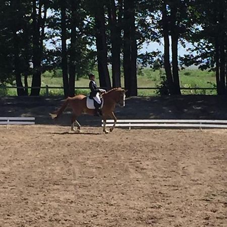 Sassi Talu Horsefarm Ξενοδοχείο Parnumaa Εξωτερικό φωτογραφία