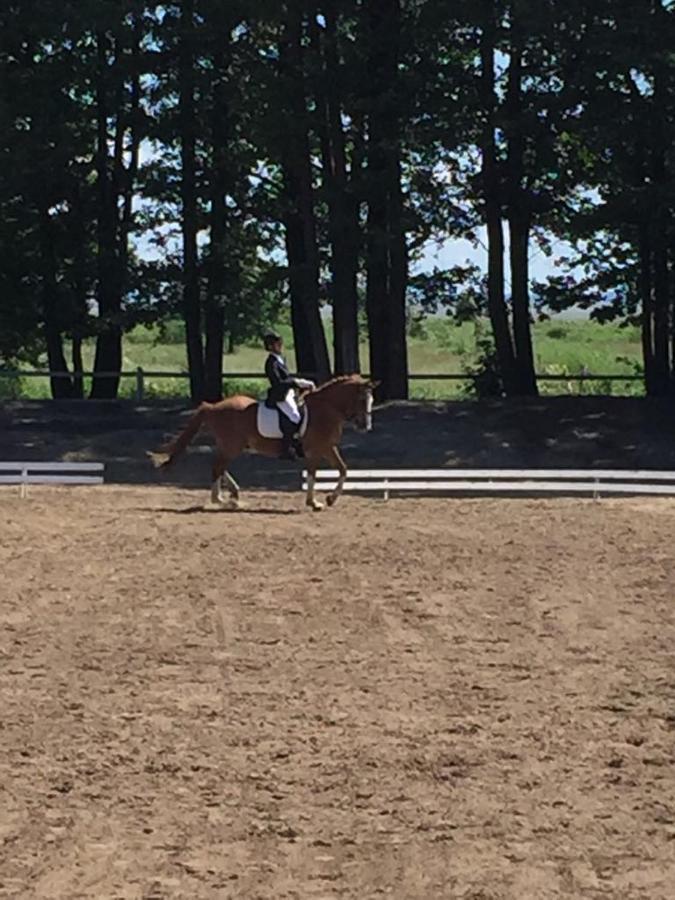 Sassi Talu Horsefarm Ξενοδοχείο Parnumaa Εξωτερικό φωτογραφία
