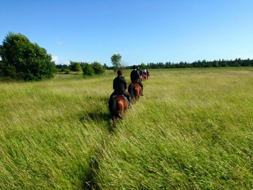 Sassi Talu Horsefarm Ξενοδοχείο Parnumaa Εξωτερικό φωτογραφία