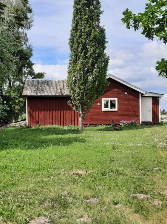 Sassi Talu Horsefarm Ξενοδοχείο Parnumaa Εξωτερικό φωτογραφία